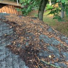 Superior-Roof-Cleaning-in-Nisswa-MN 0